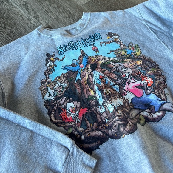 Disney Parks Authentic Original Discontinued Splash Mountain Hanes Sweatshirt - Picture 2 of 5
